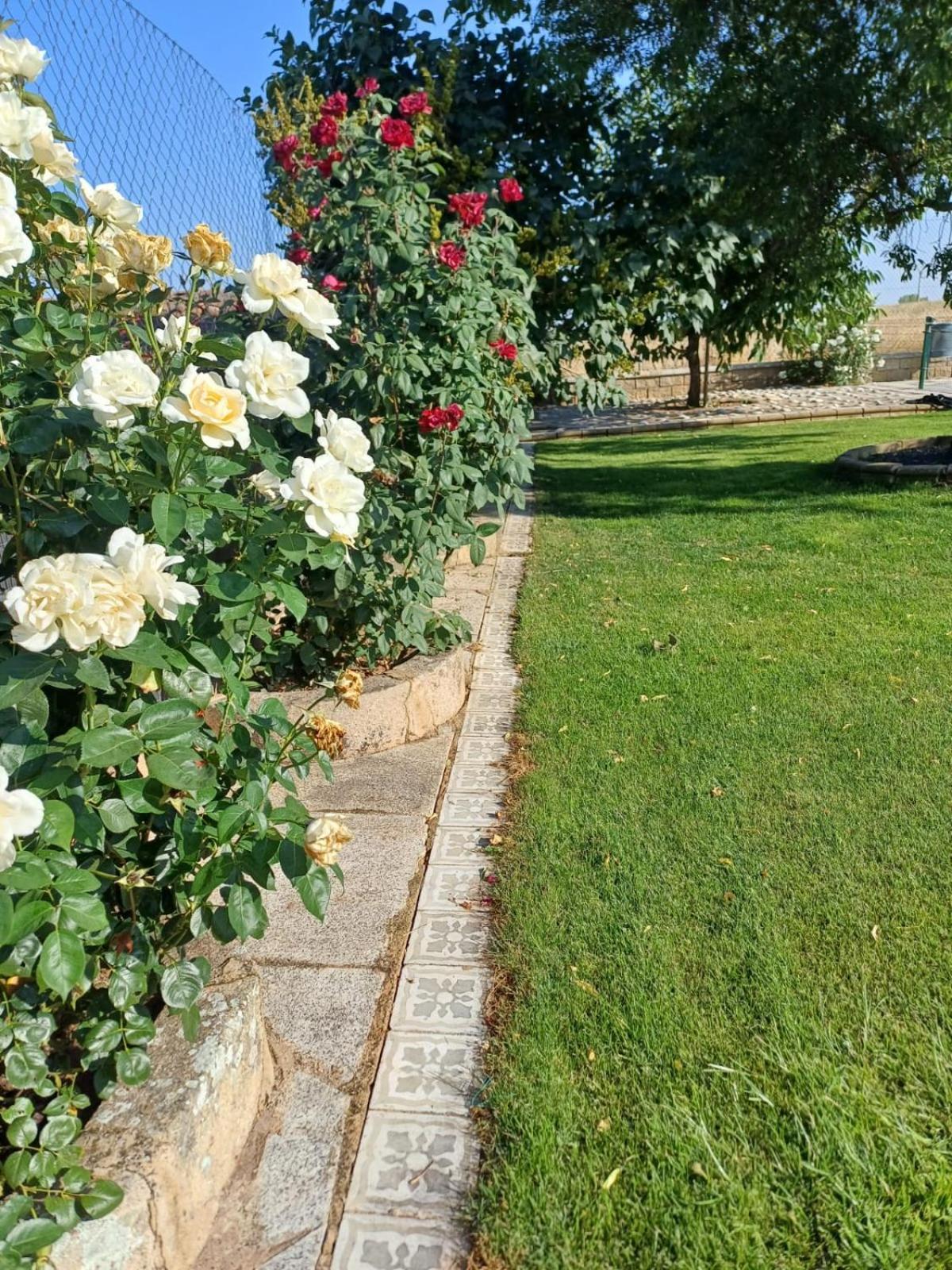 El Almendro Del Cura Villa Villarmayor  Kültér fotó
