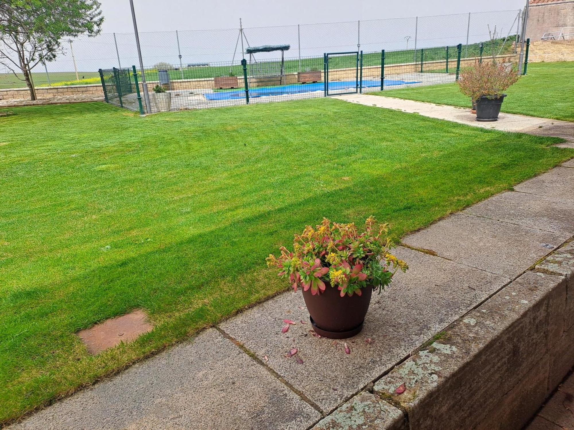 El Almendro Del Cura Villa Villarmayor  Kültér fotó
